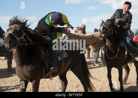 Zwei Adler Jäger auf Mongolischen Pferden in Tauziehen Spiel über tote Ziege während der buzkashi Spiele, am Adler Jäger Festival, in der Nähe von Sagsai, Bayan-Ulgii Aymag, Mongolei montiert. September 2014 .. Stockfoto