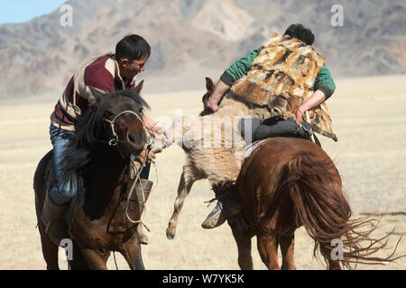 Zwei Adler Jäger auf Mongolischen Pferden in Tauziehen Spiel über tote Ziege während der buzkashi Spiele, am Adler Jäger Festival, in der Nähe von Sagsai, Bayan-Ulgii Aymag, Mongolei montiert. September 2014 .. Stockfoto