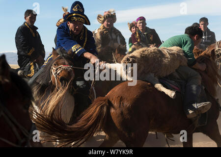 Zwei Adler Jäger auf Mongolischen Pferden in Tauziehen Spiel über tote Ziege während der buzkashi Spiele, am Adler Jäger Festival, in der Nähe von Sagsai, Bayan-Ulgii Aymag, Mongolei montiert. September 2014 .. Stockfoto