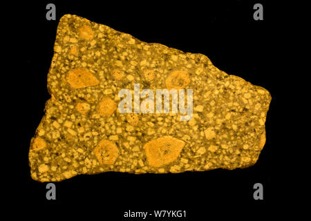 Quartz monzonite, Bear Tooth Mountains, Montana, USA. Stockfoto