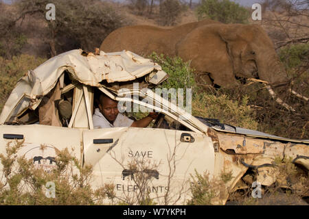 Daniel Lentipo fahren die ehemalige Forschung Fahrzeug von Stier Afrikanischer Elefant (Loxodonta africana) Samburu National Reserve, Kenia. Model Released. Stockfoto