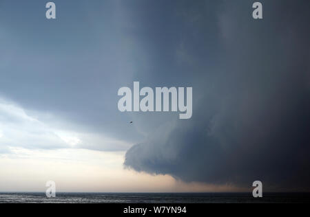 Dangery thoundstorm in dunklen Himmel kommenden mit dem starken Sturm über beruhigen den Michigan See. Allein Vogel fliegen in den bewölkten Himmel, der Sturm. USA, Grand Stockfoto