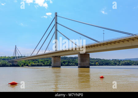 Schrägseilbrücke Liberty Bridge auf der Donau bei Novi Sad, Serbien Stockfoto