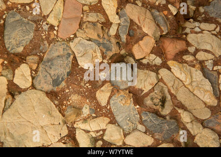 Leesburg Konglomerat rock, Leesburg, Virginia, USA. Stockfoto