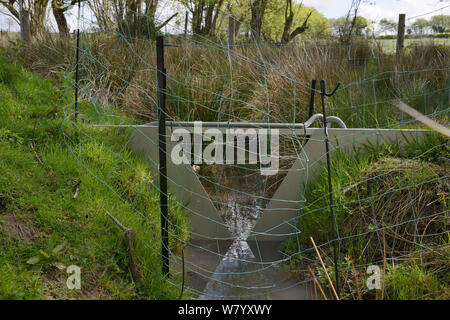 V-dam Messstation Überwachung Wasserfluss und Qualität über eine Reihe von Dämmen durch Eurasischen Biber (Castor Fiber) in großen Gehäuse eingebaut, Devon Biber Projekt, Devon Wildlife Trust, Devon, UK, Mai. Stockfoto