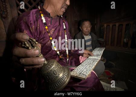 Nakhi Schamanen die Zeremonie und Lesen von Dongba/Naxi Piktogramme, Yunnan, China, Juli 2010. Stockfoto