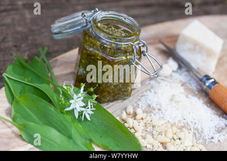 Bärlauch-Pesto, Bärlauchpesto, Pesto aus Bärlauch, Pinienkerne, Olivenöl, Parmesankäse, Frühlingspesto, Wildkräuterpesto, Bärlauch, Bär-Lauch, Allium Stockfoto