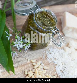 Bärlauch-Pesto, Bärlauchpesto, Pesto aus Bärlauch, Pinienkerne, Olivenöl, Parmesankäse, Frühlingspesto, Wildkräuterpesto, Bärlauch, Bär-Lauch, Allium Stockfoto