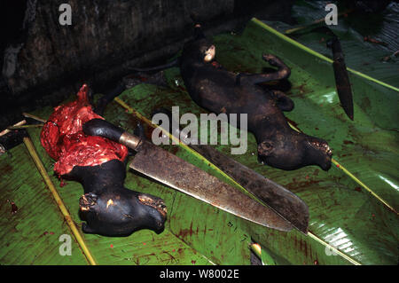 Hund Fleisch zum Verkauf in Tomohon Markt, Celebes, Indonesien. Stockfoto