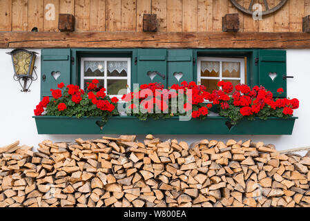 Fenster mit Geranien und Holzstapel in den Bayerischen Alpen Stockfoto