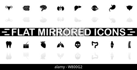 Organe Symbole - schwarzes Symbol auf weißem Hintergrund. Einfache Abbildung. Flache Vektor Icon. Spiegelbild Schatten. In logo, Web, Mobile und verwendet werden. Stock Vektor