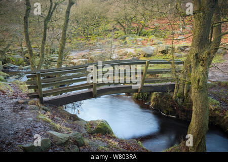 Holzsteg über Burbage Bach, mit dem alten Wald von padley Holz hinter. Derbyshire, England, UK, Januar. Stockfoto