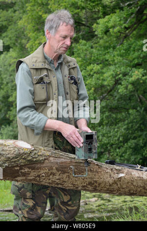 Tom Buckley Einrichten eines Infrarot trailcam auf einer Weide (Salix sp.) von Eurasischen Biber (Castor Fiber) am Ufer des Flusses Otter, Devon, England, UK, Mai gefällt. Model Released. Stockfoto