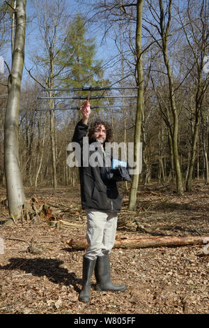 Andy Rothwell mit einem radiotracker hibernating Radio-collared Essbar/Fat Siebenschläfer (Glis Glis) in Wäldern, in denen dieses Europäische Arten eingebürgert hat, Buckinghamshire, UK, April zu lokalisieren, Modell freigegeben. Stockfoto