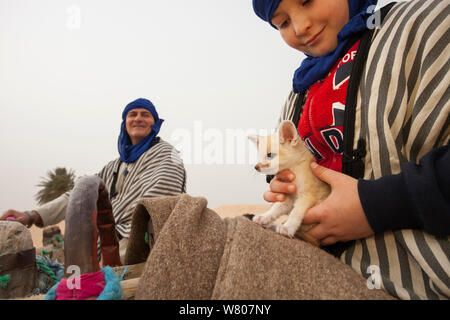 Junge holding Fennec Fuchs (Vulpes zerda) Welpen im Alter von wenigen Wochen, die in der Wildnis gefangen und in einem berühmten kameltrekking Ort für Touristen, in der Hoffnung, ihn entweder zu verkaufen oder für die Fotos bezahlt, Kebili Governatorats gezeigt. Tunesien. April 2013. Stockfoto