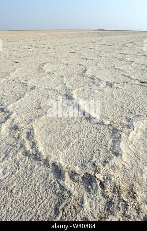 Salz Bildung der See Assale, Danakil Depression, ferne Region, Äthiopien, März 2015. Stockfoto