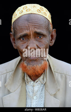 Kopf Portrait von alten Ferne Mann mit Bart Färben mit Henna, Ahmed Ela Dorf, Danakil Depression, ferne Region. Äthiopien, März 2015. Stockfoto