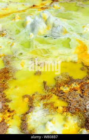 Dallol hot spring mit Salz Konkretionen farbigen von Schwefel, Kalium und Eisen, Dallol Vulkan, die danakil Depression, Äthiopien, März 2015. Stockfoto