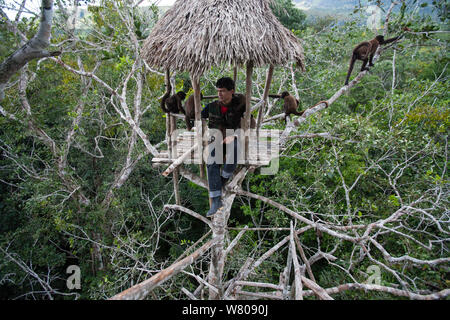 Keeper im Baumhaus mit gemeinsamen Wollaffen (Lagothrix lagotricha) in Ikamaperou Heiligtum, Amazonas, Peru. Oktober 2006. Stockfoto