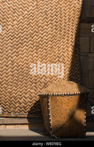 Reis im Korb ausserhalb des Hauses, Apatani Stamm, Ziro Tal, Himalayan Foothills, Arunachal Pradesh. North East India, November 2014. Stockfoto
