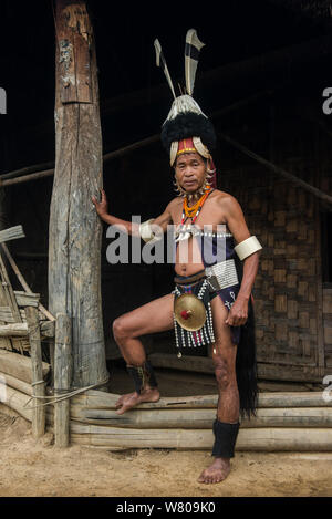 Chang Naga Mann in festival Kleid mit Tiger (Panthera tigris) um sein Gesicht, Nashornvogel (Bucerotidae) Federn am Hut, und Wildschwein (Sus scrofa) die Stosszähne auf Hut. Chang Naga headhunting Stamm. Tuensang Bezirk. Nagaland, North East India, Oktober 2014. Stockfoto