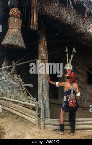 Chang Naga Mann in festival Kleid mit Tiger (Panthera tigris) um sein Gesicht, Nashornvogel (Bucerotidae) Federn am Hut, und Wildschwein (Sus scrofa) die Stosszähne auf Hut. Chang Naga headhunting Stamm. Tuensang Bezirk. Nagaland, North East India, Oktober 2014. Stockfoto