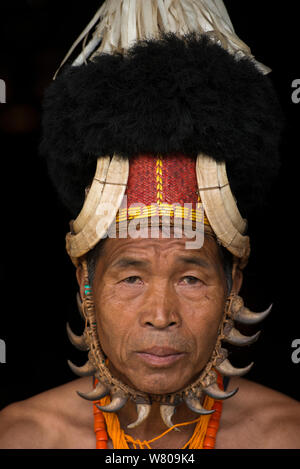 Chang Naga Mann in festival Kleid mit Tiger (Panthera tigris) um sein Gesicht, Nashornvogel (Bucerotidae) Federn am Hut, und Wildschwein (Sus scrofa) die Stosszähne auf Kopfbedeckung, Tuensang Bezirk. Nagaland, North East India, Oktober 2014. Stockfoto