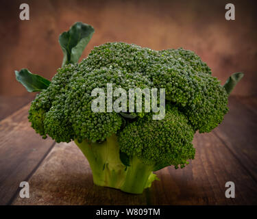 Frisch geerntete Kopf von frischem Brokkoli. Stockfoto