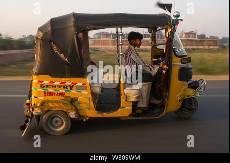 Junger Mann, Tuk Tuk, Agra, Uttar Pradesh, Indien, Oktober 2014. Stockfoto