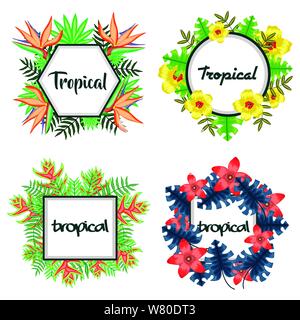 Festlegen von Rahmen mit tropischen Blumen und Blätter Vector Illustration Design Stock Vektor