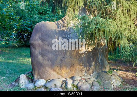 Pferd - wie Stein auf grünem Gras, auf einem Hintergrund von Bäumen Stockfoto