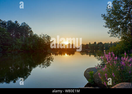 Sonnenuntergang auf einem See mit blauem Wasser und Himmel, im Vordergrund Salbei und runde Steine Stockfoto