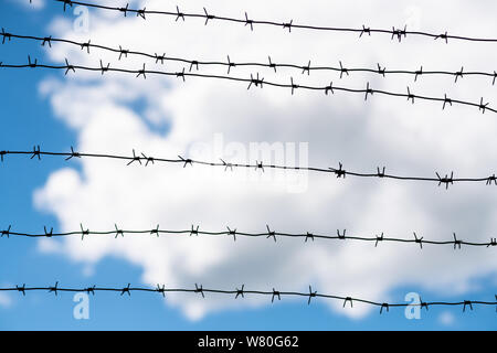 Stacheldraht auf Landes Grenze. Stacheldraht auf Zaun für Verbot von illegalen Ausländern Kreuzung. Stockfoto