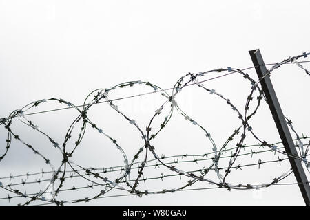 Stacheldraht auf Landes Grenze. Stacheldraht auf Zaun für Verbot von illegalen Ausländern Kreuzung. Stockfoto