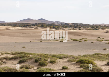 Sanddünen in Khogno Khan Nationalpark, der Mongolei. Stockfoto