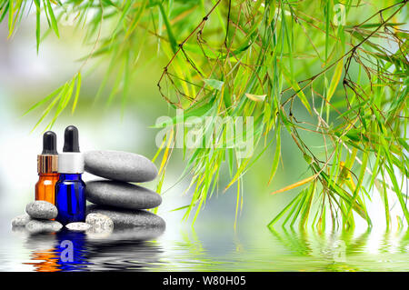 Grean Blätter über Zen Steine und spa Öl auf Wasser Oberfläche Stockfoto