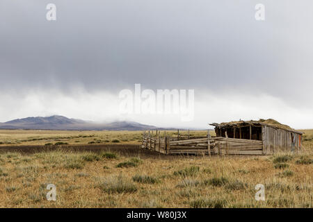 Die weiten Landschaften von Khogno Khan Nationalpark in der Mongolei. Stockfoto
