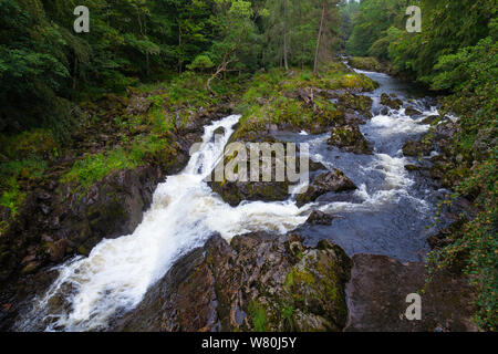 Fällt der Feugh Brücke von Feugh Banchory Aberdeenshire Scotland Stockfoto