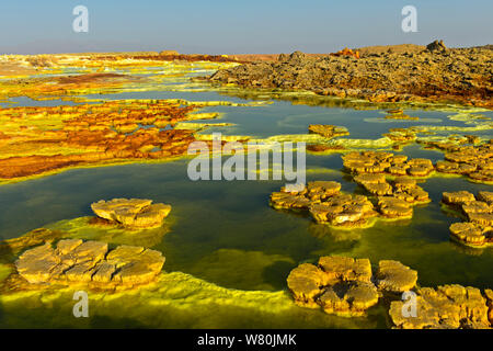 Pilz - wie organische Crackprodukte Felsformationen in einer Säure Sole-pool, geothermische Feld von Dallol, Danakil Depression, Afar Dreieck, Äthiopien Stockfoto