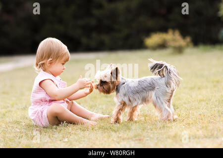 Baby girl 1 Jahr alt sittin auf grünem Gras im Park mit Yorkshire Terrier pet im Freien. Freundschaft. Sommer. Stockfoto