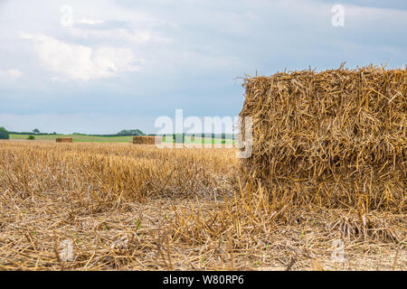 Platz Strohballen liegen auf einem Feld nach der Getreideernte Stockfoto