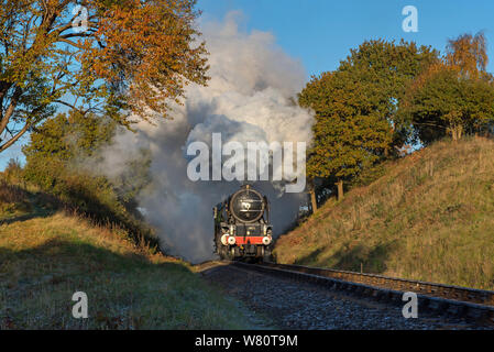 A1 Nr. 60163 Bewdey fährt auf der SVR Stockfoto