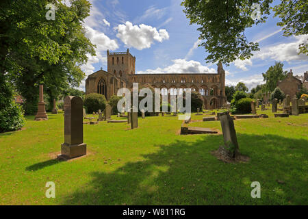 Die Ruinen der Jedburgh Abbey von Abbey, Jedburgh, Scottish Borders, Schottland, Großbritannien. Stockfoto