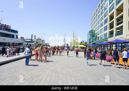 Toronto Hafen - vorne oder Harbourfront in Ontario, Kanada, im Sommer ein tolles Reiseziel. Stockfoto
