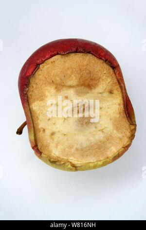 Geformte Apple. Schimmel Obst. Schimmel Apple. Schlechte Früchte. Bad apple. Schimmel auf Apple. Stockfoto