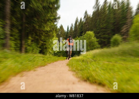 Radfahrer mit einem Rucksack auf einem Mountainbike Touren entlang einer Forststraße Stockfoto