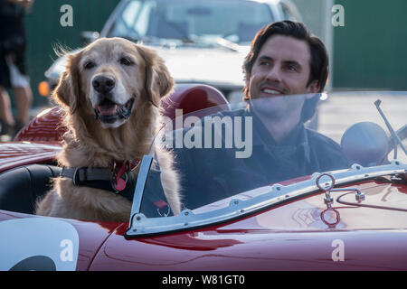 RELEASE Datum: August 9, 2019 TITEL: Die Kunst des Laufens in der Regen Studio: Twentieth Century Fox Regie: Simon Curtis PLOT: Ein Hund namens Enzo erinnert an die Lektionen des Lebens, die er von seinem Auto fahren Besitzer, Denny gelernt hat. In den Hauptrollen: MILO VENTIMIGLIA als Denny Swift, und Enzo. (Bild: © Twentieth Century Fox/Entertainment Bilder) Stockfoto