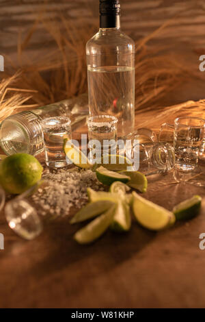 Scheiben von Kalk, eine Flasche Tequila und's Shot von leckeren Tequila und Salz bestreut auf dem Tisch mit sträuße von Stroh auf dem Tisch - Bild vertikal Stockfoto