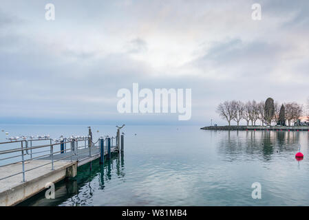 Atmosphäre der neblig und bewölkt Genfer See mit Fliegen und Schwimmen Vogel und Swan, Bojen und Pier ohne Menschen in Lausanne in der Schweiz. Stockfoto