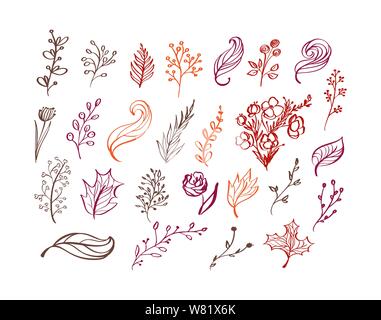 Set von Vektor-Doodle floralen Elementen. Herbstkollektion. Blumen-Grafik-Dessin. Kräuter, Blätter, Stiefel, Becher und Wildblumen. Handgezeichnete Vektorbotanik Stock Vektor